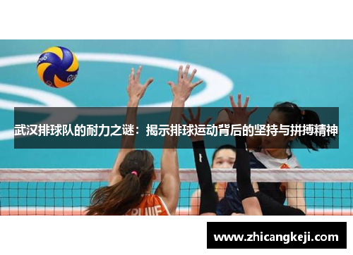 武汉排球队的耐力之谜：揭示排球运动背后的坚持与拼搏精神